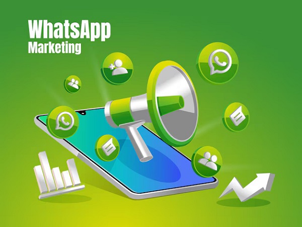 Unlock the Power of Bulk WhatsApp Marketing in Hisar Today!