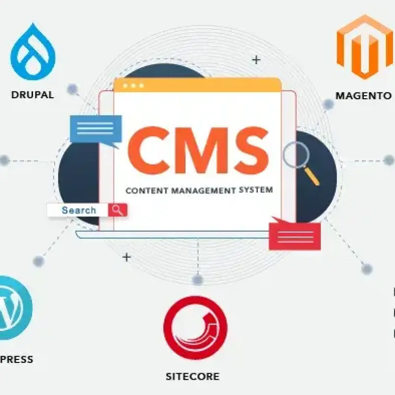 Why Businesses Need a CMS Website for Online Growth