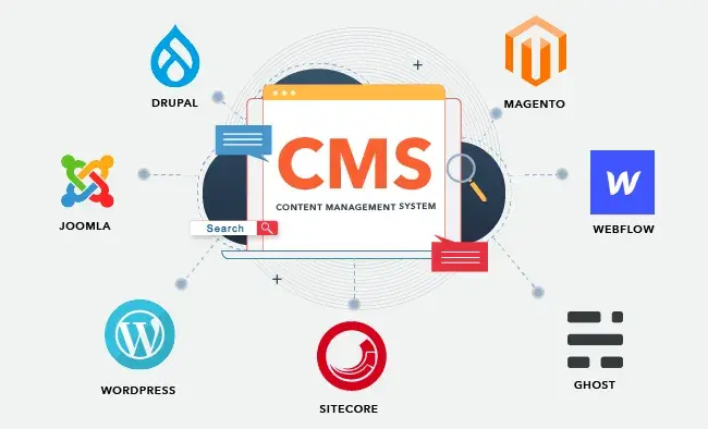 Why Businesses Need a CMS Website for Online Growth