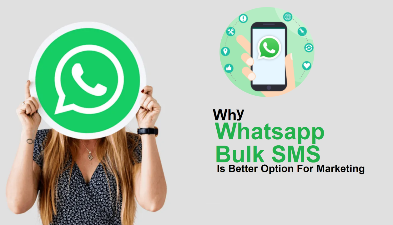 Unlock the Power of Bulk WhatsApp Marketing in Hisar Today!