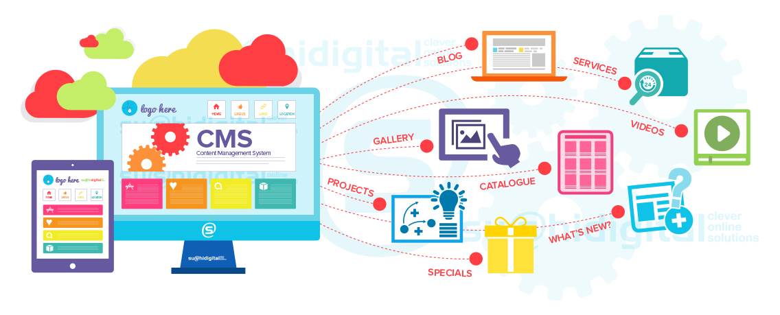 CMS Development Course in Hisar – Master Website Management & Build Dynamic Websites