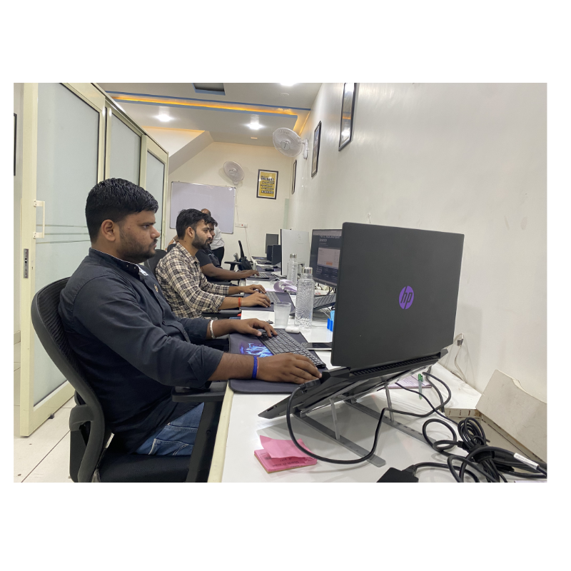 Innovative Web Solutions: Designbit Software Pvt. Ltd.