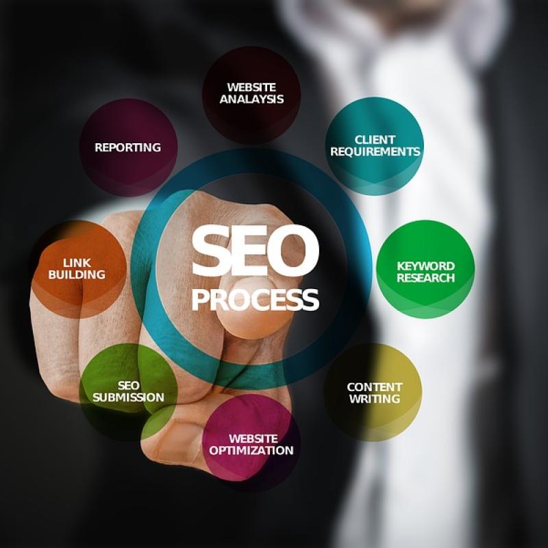 Elevate Your Business with an SEO Company in Hisar