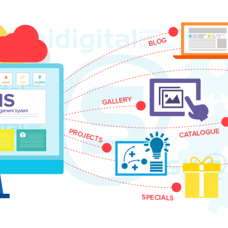 CMS Development Course in Hisar – Master Website Management & Build Dynamic Websites